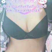 ヒメ日記 2025/01/05 09:52 投稿 咲(さき) DAHLIA(ダリア)