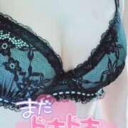 ヒメ日記 2025/02/11 22:40 投稿 咲(さき) DAHLIA(ダリア)