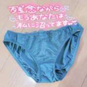 ヒメ日記 2025/02/14 19:01 投稿 咲(さき) DAHLIA(ダリア)