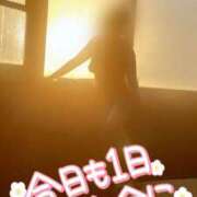 ヒメ日記 2025/03/11 06:44 投稿 咲(さき) DAHLIA(ダリア)