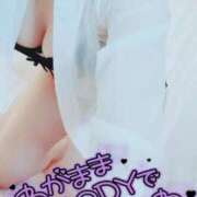 ヒメ日記 2025/03/14 18:18 投稿 咲(さき) DAHLIA(ダリア)