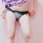 ヒメ日記 2025/03/16 12:45 投稿 咲(さき) DAHLIA(ダリア)