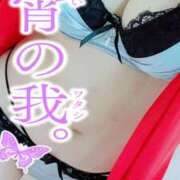 ヒメ日記 2025/03/17 07:47 投稿 咲(さき) DAHLIA(ダリア)