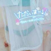 ヒメ日記 2025/03/27 01:16 投稿 咲(さき) DAHLIA(ダリア)