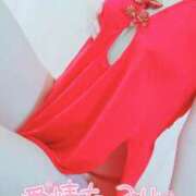 ヒメ日記 2025/03/31 09:59 投稿 咲(さき) DAHLIA(ダリア)