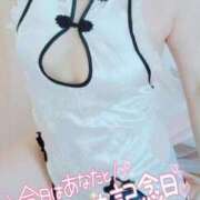 ヒメ日記 2025/03/31 13:08 投稿 咲(さき) DAHLIA(ダリア)