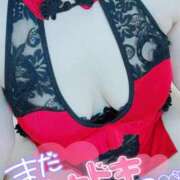 ヒメ日記 2025/04/19 12:03 投稿 咲(さき) DAHLIA(ダリア)