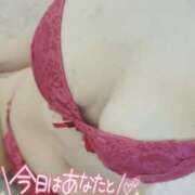 ヒメ日記 2025/04/26 11:02 投稿 咲(さき) DAHLIA(ダリア)