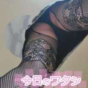 ヒメ日記 2025/05/11 10:09 投稿 咲(さき) DAHLIA(ダリア)