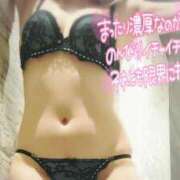 ヒメ日記 2025/05/20 12:25 投稿 咲(さき) DAHLIA(ダリア)