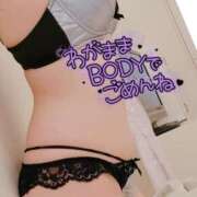 ヒメ日記 2025/05/31 12:31 投稿 咲(さき) DAHLIA(ダリア)