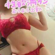 ヒメ日記 2025/06/05 12:38 投稿 咲(さき) DAHLIA(ダリア)