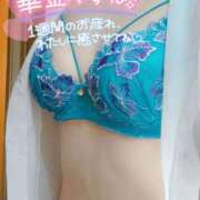 ヒメ日記 2025/06/06 09:55 投稿 咲(さき) DAHLIA(ダリア)