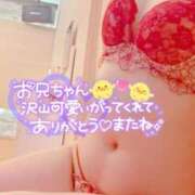 ヒメ日記 2025/06/12 14:04 投稿 咲(さき) DAHLIA(ダリア)