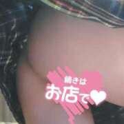 ヒメ日記 2025/06/14 12:14 投稿 咲(さき) DAHLIA(ダリア)