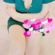 ヒメ日記 2025/06/26 10:03 投稿 咲(さき) DAHLIA(ダリア)