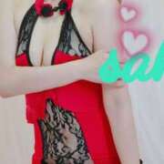 ヒメ日記 2025/07/03 10:11 投稿 咲(さき) DAHLIA(ダリア)