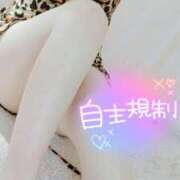 ヒメ日記 2025/07/03 16:31 投稿 咲(さき) DAHLIA(ダリア)