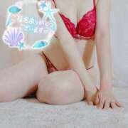 ヒメ日記 2025/07/04 14:15 投稿 咲(さき) DAHLIA(ダリア)