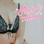 ヒメ日記 2025/07/24 07:55 投稿 咲(さき) DAHLIA(ダリア)