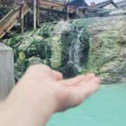 ヒメ日記 2025/07/24 15:41 投稿 咲(さき) DAHLIA(ダリア)