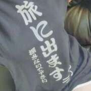 ヒメ日記 2025/08/19 16:35 投稿 咲(さき) DAHLIA(ダリア)