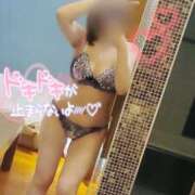 ヒメ日記 2025/08/20 17:22 投稿 咲(さき) DAHLIA(ダリア)