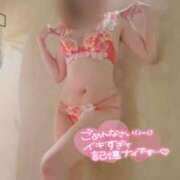 ヒメ日記 2025/09/26 17:31 投稿 咲(さき) DAHLIA(ダリア)