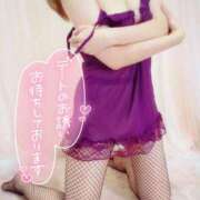 ヒメ日記 2025/10/09 09:46 投稿 咲(さき) DAHLIA(ダリア)