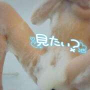 ヒメ日記 2025/11/14 10:02 投稿 咲(さき) DAHLIA(ダリア)