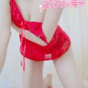 ヒメ日記 2025/11/16 10:14 投稿 咲(さき) DAHLIA(ダリア)