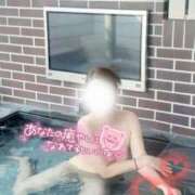 ヒメ日記 2025/11/24 15:01 投稿 咲(さき) DAHLIA(ダリア)