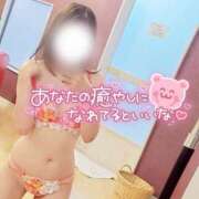 ヒメ日記 2025/12/10 16:30 投稿 咲(さき) DAHLIA(ダリア)