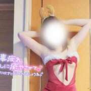 ヒメ日記 2025/12/28 13:35 投稿 咲(さき) DAHLIA(ダリア)