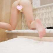 ヒメ日記 2026/01/07 20:11 投稿 咲(さき) DAHLIA(ダリア)