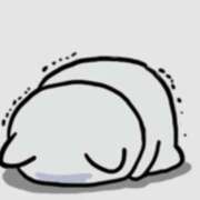 ヒメ日記 2026/01/13 09:31 投稿 咲(さき) DAHLIA(ダリア)