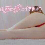 ヒメ日記 2026/02/27 11:47 投稿 咲(さき) DAHLIA(ダリア)