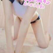 ヒメ日記 2026/02/28 09:45 投稿 咲(さき) DAHLIA(ダリア)