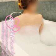 ヒメ日記 2026/03/01 00:57 投稿 咲(さき) DAHLIA(ダリア)