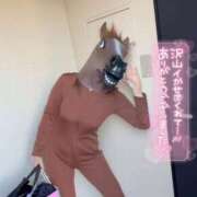 ヒメ日記 2026/03/13 18:03 投稿 咲(さき) DAHLIA(ダリア)