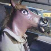 ヒメ日記 2026/03/25 18:17 投稿 咲(さき) DAHLIA(ダリア)