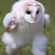 ヒメ日記 2025/08/31 12:12 投稿 そらの 東京人妻セレブリティ（ユメオト）