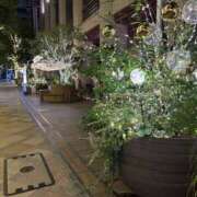 ヒメ日記 2026/02/01 03:42 投稿 そらの 東京人妻セレブリティ（ユメオト）