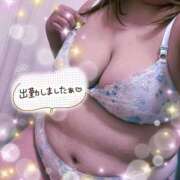 ヒメ日記 2025/03/15 14:50 投稿 ななみ 愛知三河安城岡崎ちゃんこ