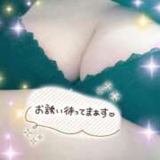 ヒメ日記 2025/04/18 19:21 投稿 ななみ 愛知三河安城岡崎ちゃんこ