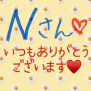 ヒメ日記 2025/05/13 16:22 投稿 しずく 諭吉で2度ヌキ！