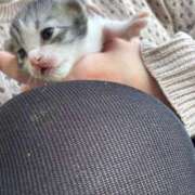 ヒメ日記 2025/04/29 18:41 投稿 りり 三重四日市ちゃんこ