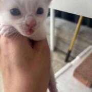 りり 次回案内💁‍♂️ 三重四日市ちゃんこ