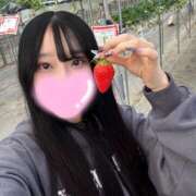 ヒメ日記 2025/02/25 18:53 投稿 うさ デリヘルラボ・クレージュ