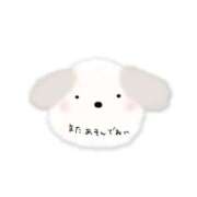 ヒメ日記 2025/03/31 16:43 投稿 神風　おとね ノーパンパンスト スケベなOL梅田・兎我野店